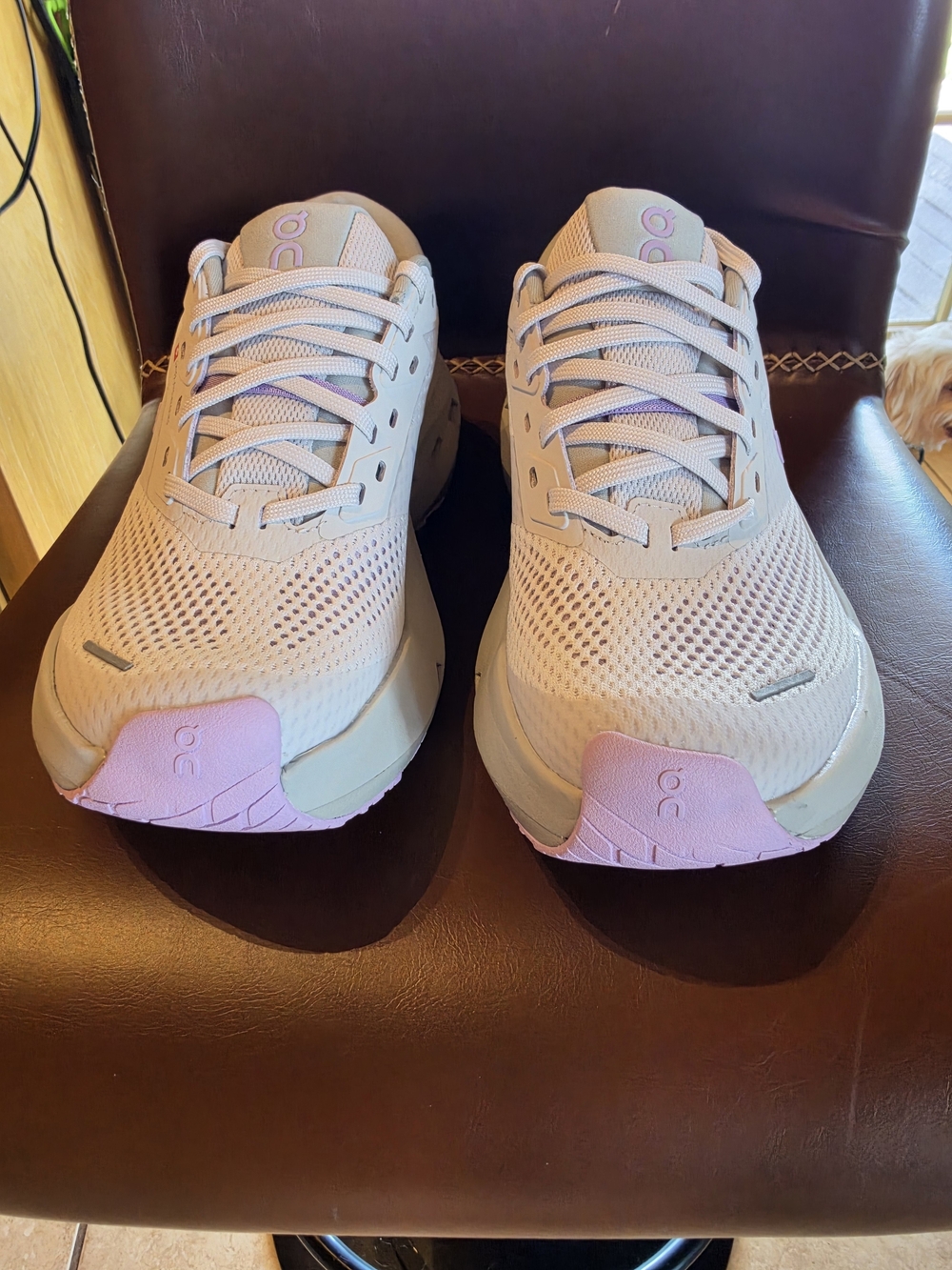 On Cloudrunner MAX Lightweight Running Shoes - White light Gray & LavandeAccents